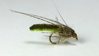 Jyhis  chenille caddis pupae [upl. by Aljan]