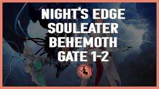 Lost Ark 1630 Nights Edge Souleater Behemoth Gates 12 [upl. by Neerahs]