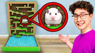 I Built a Minecraft Maze for my Hamster [upl. by Ilenna]