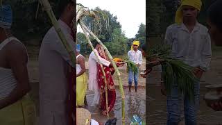 Chhath festival ❤️viralvideo 2024 chhathimaiya viralshort trending song [upl. by Elbring]