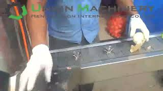 Onion peeler and root cutter onionpeeler Onionrootcutter peelingmachine [upl. by Tamqrah]