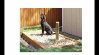 SnoutHouse The Solution to your Dog Poop problem [upl. by Frentz]