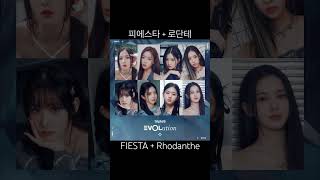 피에스타로단테 FIESTA amp Rhodanthe [upl. by Jenny]