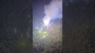 Homemade Morning Glory Sparkler fireworks [upl. by Renelle880]