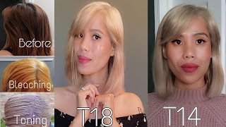 Toning Bad Bleached Hair Wella T18 [upl. by Steffin]