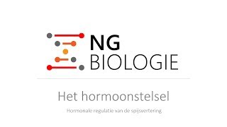 Het hormoonstelsel  hormonale regulatie van de spijsvertering  VWO [upl. by Arahahs58]