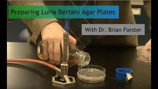 Preparing Luria Bertani Agar Plates [upl. by Eelesor]