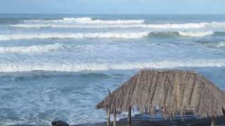 La Jolla Windansea Beach Big Surf Waves [upl. by Raamal]