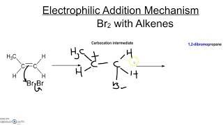 Electrophilic Addition Mechanism with Bromine [upl. by Aneladdam389]