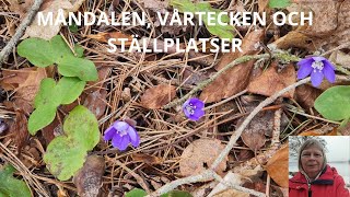 Måndalen vårtecken och ställplatser [upl. by Reamy848]