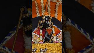 Dekhiye Sri Radha Raman Lal Ji Ki Adbhut Lila 💫 minivlog viralvideo shortvideo fypシ゚viral fyp [upl. by Ahsiryt]