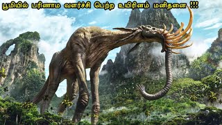 95 மனித இனம் அழிவு 🤯⁉️  mr tamilan  tamil voice over  hollywood movie story amp review in tamil [upl. by Marla862]