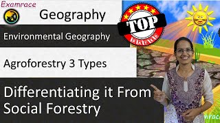 3 Types of Agroforestry Differentiating it from Social Forestry [upl. by Araccot]