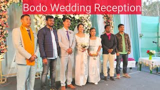 Bodo Wedding Reception  Rimjhim amp Danswrang Santali vlog 2024 [upl. by Xonk888]