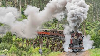 A Day at Puffing Billy Railway  2021 [upl. by Anikal]