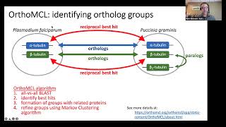 Orthology [upl. by Eelyac]