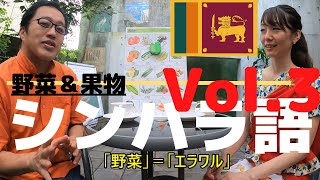 シンハラ語レッスンVol3 スリランカの野菜と果物の単語を覚えてみよう～♪スリランカカレーファンの方もぜひ【保存版】 [upl. by Sidwell]