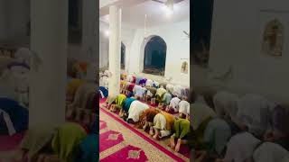 allah reels viralvideo 🕌❤️bache 🕋❤️shorts trending masjidalharam [upl. by Htebarual]