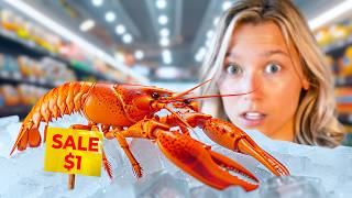 Raising a Grocery Store Lobster as a Pet [upl. by Gilbertina645]