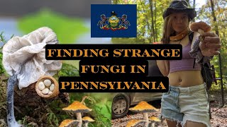 Finding strange Fungi in Pennsylvania  Vanlife Mushroom Hunting Travels [upl. by Eimmit490]