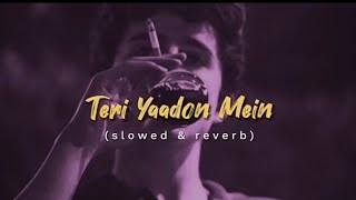 Teri Yaadon Mein  Slowed amp Reverb  kk  Shereya goshal  The killer [upl. by Chu506]