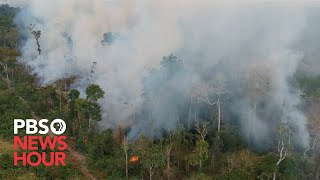 WATCH Fires spread through the Amazon rainforest [upl. by Mavilia]