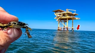 I Tossed This FAKE CRAB on an Offshore Oil Rig and Caught My Dinner [upl. by Eirelam]