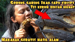 TES KERIUK IKAN SAPU SAPU GORENG GARING UTUH [upl. by Kyrstin825]