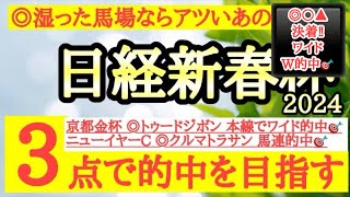 【日経新春杯2024】◎タフな馬場は歓迎で枠も悪くないあの馬から！ [upl. by Noryb]