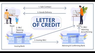 Letter of Credit LC  letterofcredit billsofexchange accounting cma icai cpa bank bcom [upl. by Nileuqay]