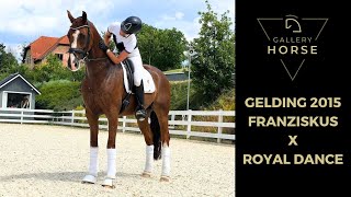 SOLD  DRESSAGE HORSE FOR SALE  GELDING  9 Yrs  GHS2090 [upl. by Ravel]