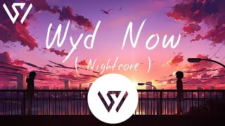 Sadie Jean  Wyd Now  X Main Rang Sharbaton ka  Nightcore [upl. by Ahsratal]