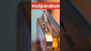 Daily ideas to help and beautiful ways to make money and time molparabol اكسبلور ا بارطاجي [upl. by Garbe678]