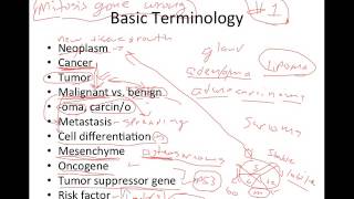 Introduction to Cancer [upl. by Jimmy]