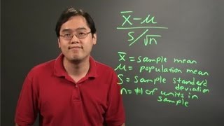 How to Calculate a Students TStatistic for Slope  Statistics 101 [upl. by Akcirderf]