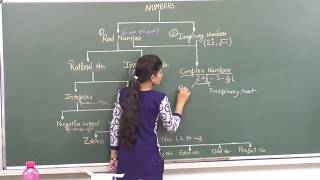 MATHSIX101 Number system intro Pradeep Kshetrapal channel [upl. by Yzzik577]