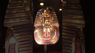 The Mystery of Ancient Egyptian Mummification amp The Curse of the Pharaohs [upl. by Stormy919]