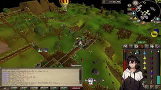 pvp in the wilderness  1 def [upl. by Aikit509]