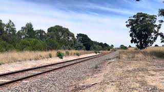 N462 on an up Warrnambool pass between Birregurra and Winchelsea [upl. by Nitneuq]