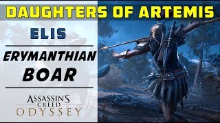 Find amp Hunt the Erymanthian Boar Elis  Daughters of Artemis Quest  ASSASSINS CREED ODYSSEY [upl. by Neenahs119]