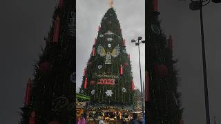 Dortmund 🌲 Weihnachtsbaum 45 Meter🌲☃️ [upl. by Nodnarg]