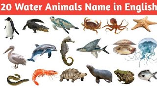 20 Water Animals Names  Water Animals Names in English  Animals Vocabulary Video for Kids [upl. by Novaat]