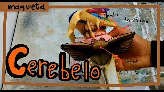 Cerebelo Maqueta [upl. by Sigler]