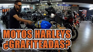 MOTOS HARLEY ¿GRAFITEADAS [upl. by Aneev542]