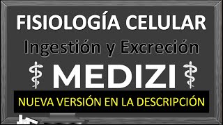 Clase 2 Fisiologia  Ingestión y excreción celular VERSIÓN ANTIGUANUEVA VERSÓN EN LA DESCRIPCIÓN [upl. by Sibel]