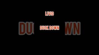 Livio quotDuck Downquot Audio [upl. by Olaf]