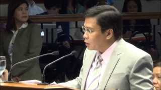 Estrada questions character of Cunanan Tuason [upl. by Htide339]