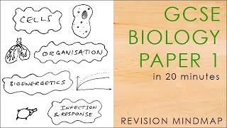 All of BIOLOGY PAPER 1 in 20 mins  GCSE Science Revision Mindmap 91 AQA [upl. by Naman]