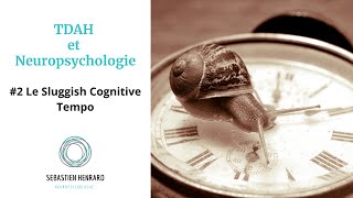 TDAH et Neuropsychologie  2 Le Sluggish Cognitive Tempo [upl. by Ahsii]