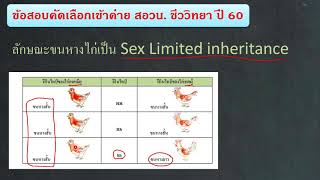 เฉลยข้อสอบ สอวน ชีวะ ปี 60 ข้อ 16  Sex Limited Inheritance [upl. by Eyma]